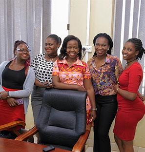 Meet the Team